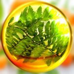 collagen refresh Polypodium leucotomos