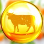 collagen refresh bovine