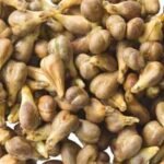 i-vitis amiclear grapeseeds