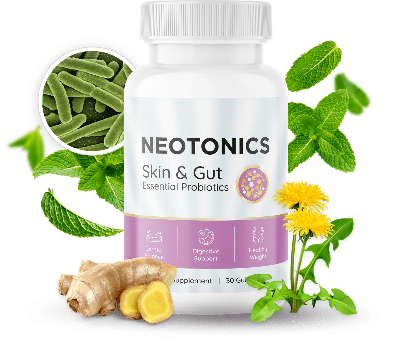 neotonics skin gut reviews 1 jar with decorations