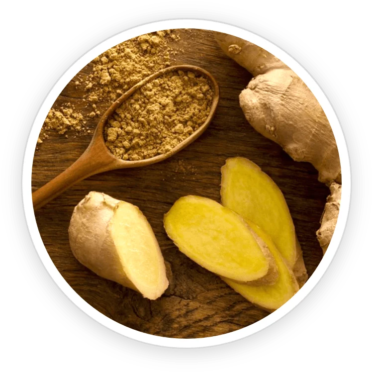 Neotonics - can it really treat skin gut issues